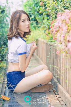 雷米奇遇記